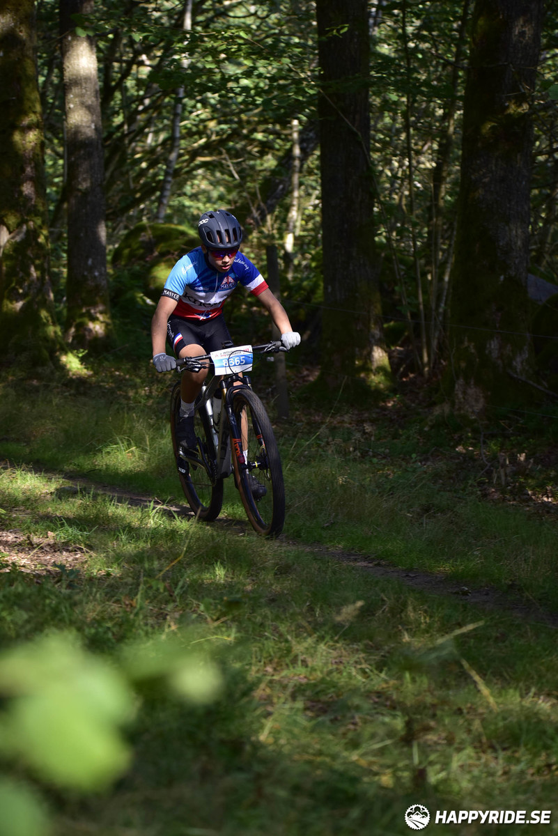 Bild från Bockstensturen 2019